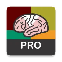 NIH Stroke Scale (NIHSS) pro